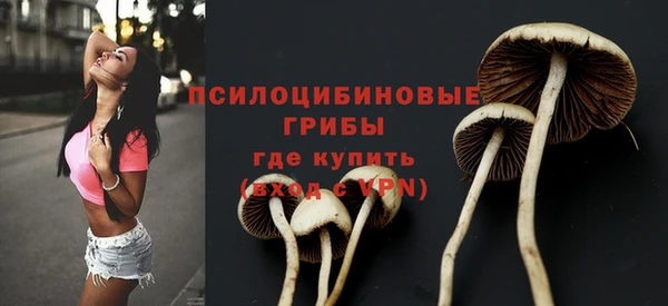 дмт Кукмор