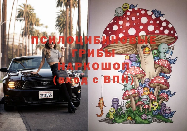 дмт Кукмор