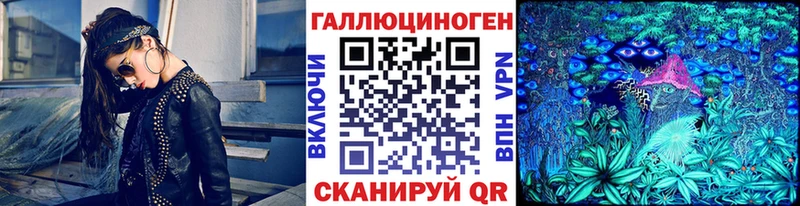 закладка Стерлитамак Псилоцибиновые грибы Psilocybe