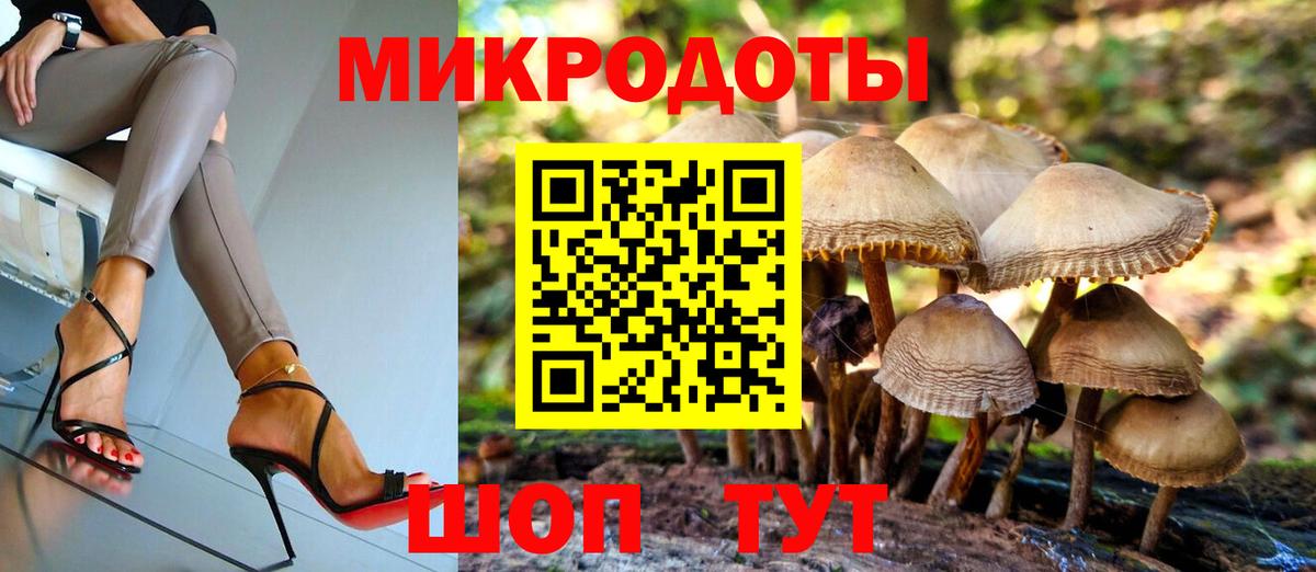 Псилоцибиновые грибы GOLDEN TEACHER  где купить наркоту  Стерлитамак  Псилоцибиновые грибы Psilocybe  Вход с VPN 