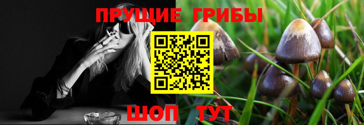 Псилоцибиновые грибы GOLDEN TEACHER Стерлитамак